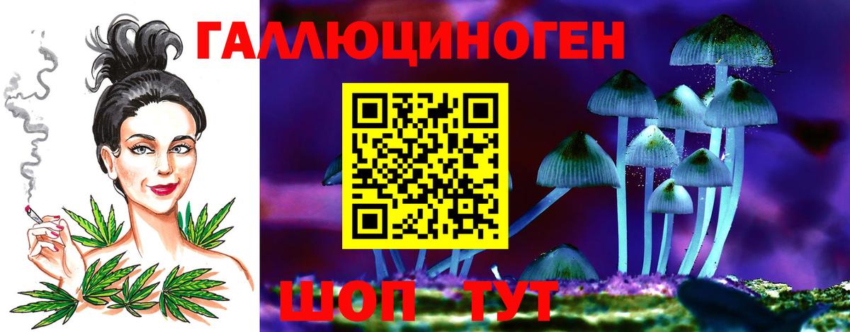Псилоцибиновые грибы MAGIC MUSHROOMS Осинники