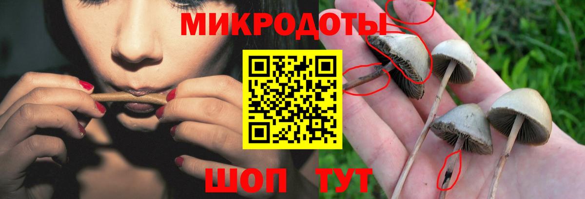 Галлюциногенные грибы мухоморы  Галлюциногенные грибы мухоморы  сколько стоит  Вход с VPN  Осинники 